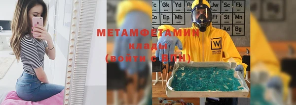шишки Аркадак
