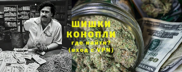 шишки Аркадак