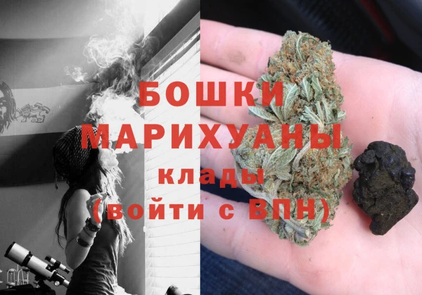 шишки Аркадак