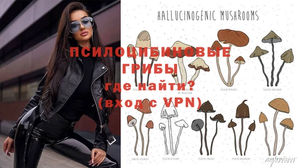 синтетический гашиш Арсеньев