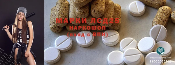 шишки Аркадак